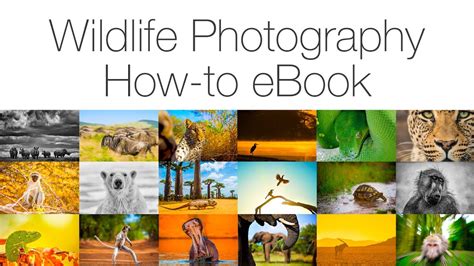 The Complete Guide to <strong>Wildlife Photography</strong>; The Complete Guide to <strong>Wildlife Photography</strong> Occasion - État : Correct. . Wildlife photography ebook